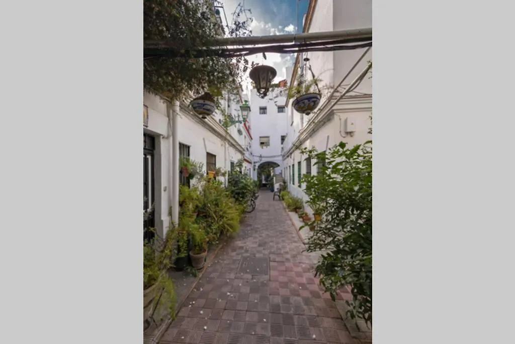 Castilla Triana Courtyard By Valcambre Apartment Seville